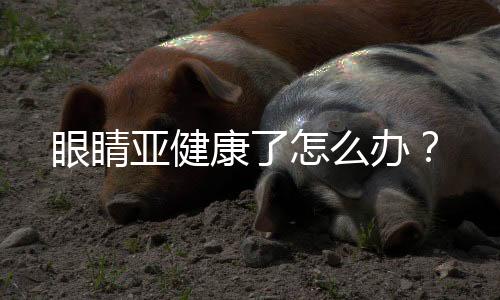 眼睛亞健康了怎么辦？