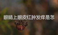 眼睛上眼皮紅腫發癢是怎么回事（眼睛上眼皮紅腫發癢）