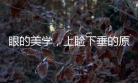 眼的美學，上瞼下垂的原因