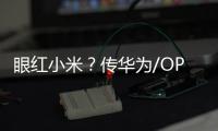 眼紅小米？傳華為/OPPO/vivo或進(jìn)入電視市場(chǎng)