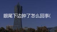 眼尾下邊腫了怎么回事(狗眼嘴腫了怎么回事)