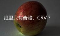 眼里只有奇駿、CRV？那是因?yàn)槟銢]開過這幾款