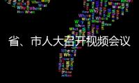 省、市人大召開視頻會議 部署剿滅劣V類水活動