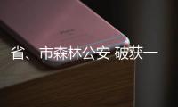 省、市森林公安 破獲一起特大象牙非法制售案
