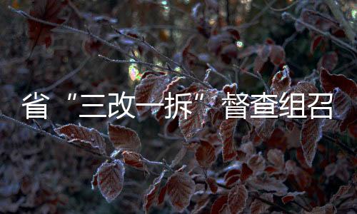 省“三改一拆”督查組召開意見反饋會