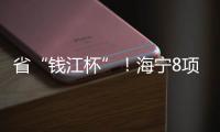 省“錢江杯”！海寧8項工程榜上有名→