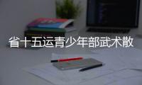 省十五運青少年部武術散打比賽開打_