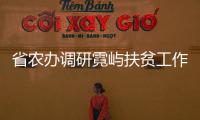 省農辦調研霓嶼扶貧工作