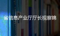 省信息產業廳廳長視察錦州單晶硅生產基地,行業資訊