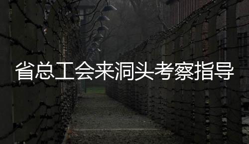 省總工會(huì)來洞頭考察指導(dǎo)海霞電力女子服務(wù)隊(duì)工作