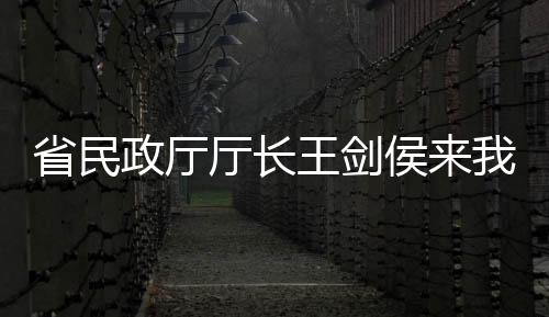 省民政廳廳長王劍侯來我區調研民政工作