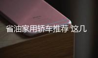 省油家用轎車推薦 這幾款更適合普通家庭
