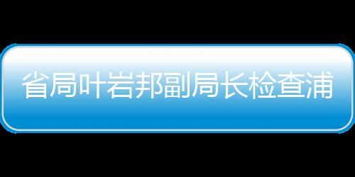 省局葉巖邦副局長檢查浦城“抗冰保暢”工作