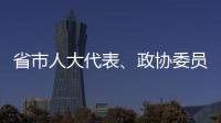 省市人大代表、政協委員視察魯甸法院