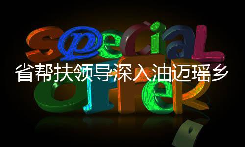 省幫扶領導深入油邁瑤鄉調研