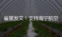 省里發文！支持海寧航空航天產業發展！最新進展來了→