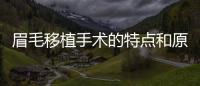 眉毛移植手術的特點和原理