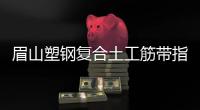 眉山塑鋼復合土工筋帶指標