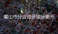眉山市分公司分層分類開展紀律教育