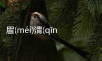 眉(méi)清(qīng)目(mù)秀(xiù)這條消息可靠嗎?
