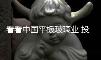 看看中國平板玻璃業 投入資金產出的高速之年分析報告,圖片新聞