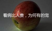 看病比人貴，為何有的寵物醫院卻賺錢難？