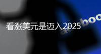 看漲美元是邁入2025年的主流觀點但也可能發生轉變