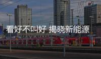 看好不叫好 揭曉新能源汽車滿意度