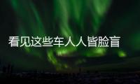 看見這些車人人皆臉盲 傻傻難辨家族臉