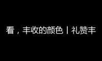 看，豐收的顏色丨禮贊豐收 致敬勞動