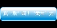 真“刑”啊！“黃牛”為非法辦業務竟入侵交管系統