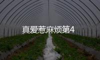 真愛惹麻煩第4
