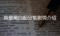 真愛黑白配分集劇情介紹