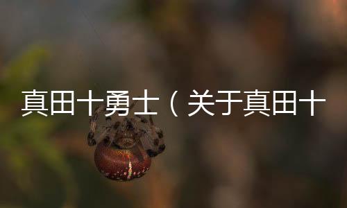 真田十勇士（關于真田十勇士的基本情況說明介紹）