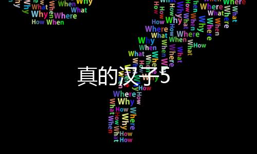 真的漢子5