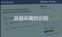 真假燕窩的識別