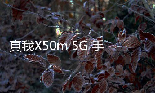 真我X50m 5G 手機密碼鎖解鎖、不開機通用一鍵刷機教程