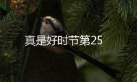 真是好時節(jié)第25