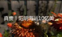 真貴！陽明海運10億美元造5艘15000TEU集裝箱新船
