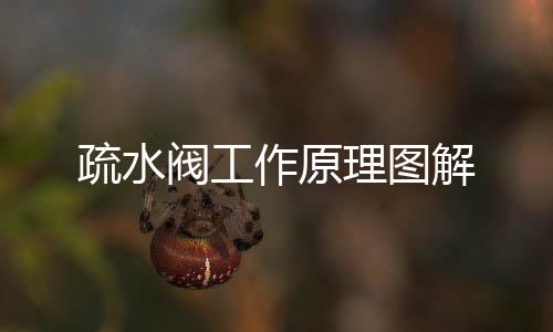 疏水閥工作原理圖解