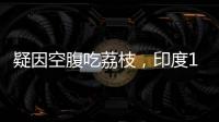 疑因空腹吃荔枝，印度103名兒童身亡？醫(yī)生：這樣吃還真要命