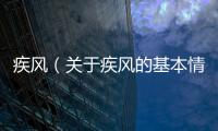 疾風（關于疾風的基本情況說明介紹）