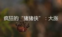 瘋狂的“豬豬俠”：大漲4.35%！生豬期貨還能漲多久