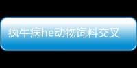 瘋牛病he動物飼料交叉污染有關(guān)