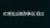 瘧原蟲治癌存爭議 但這些關于癌癥的說法確是謠言