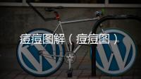 痘痘圖解（痘痘圖）