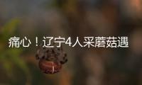 痛心！遼寧4人采蘑菇遇暴雨，致1死3失聯