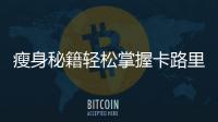 瘦身秘籍輕松掌握卡路里計(jì)算，告別肥胖困擾！
