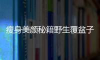瘦身美顏秘籍野生覆盆子，幫你輕松燃脂塑形！