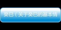 癸巳（關于癸巳的基本情況說明介紹）